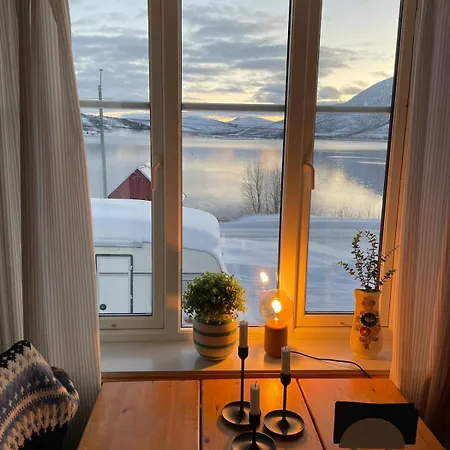 Authentic Vacation With Lovely Fjord View Senja