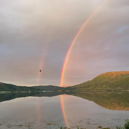 Authentic Vacation With Lovely Fjord View Vakantiehuis Senja